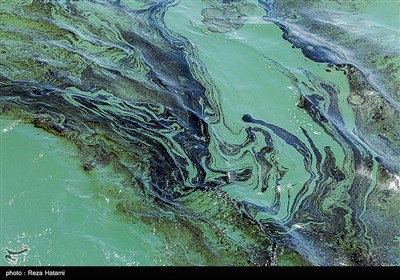 آلودگی نفتی خط انتقال نفت از گناوه به جزیره خارک
