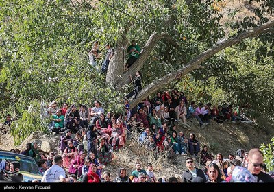 اجتماع بزرگ دف نوازان در کردستان