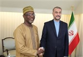 دیدار وزرای خارجه نیجر، اریتره و مالی با امیرعبداللهیان