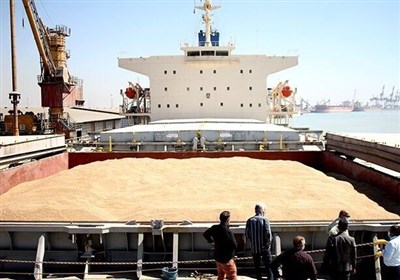 پهلوگیری 2 کشتی حامل 140 هزار تن گندم در بندر امام خمینی
