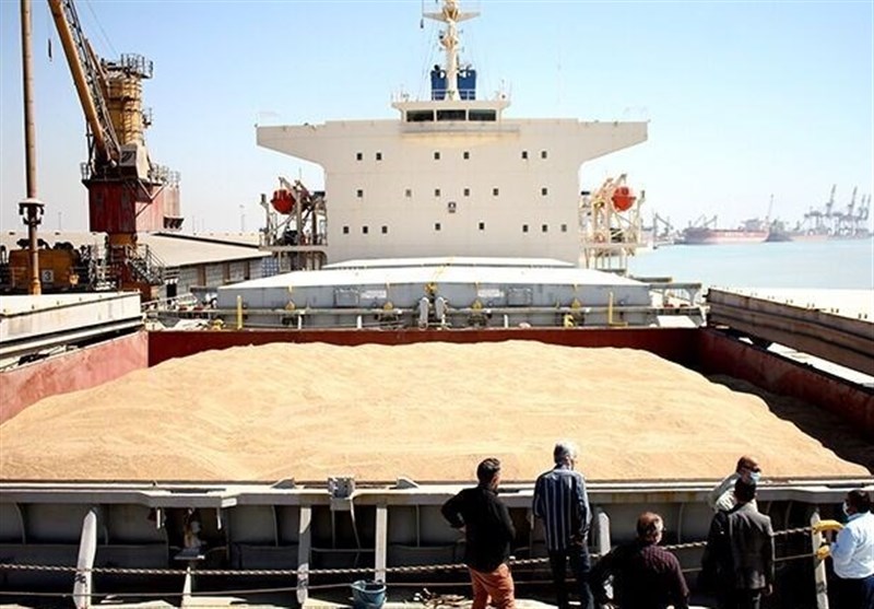 واردات گندم 3.1 میلیون تن کاهش یافت