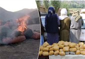 بازداشت 4 هزار قاچاقچی مواد مخدر طی 6 ماه گذشته در افغانستان