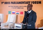 افتتاحیه نهمین مجمع پارلمانی بریکس در ژوهانسبورگ - آفریقای جنوبی