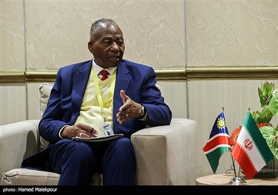 دیدارهای رئیس مجلس درحاشیه بریکس - آفریقای جنوبی