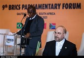 نهمین مجمع پارلمانی بریکس در ژوهانسبورگ - آفریقای جنوبی