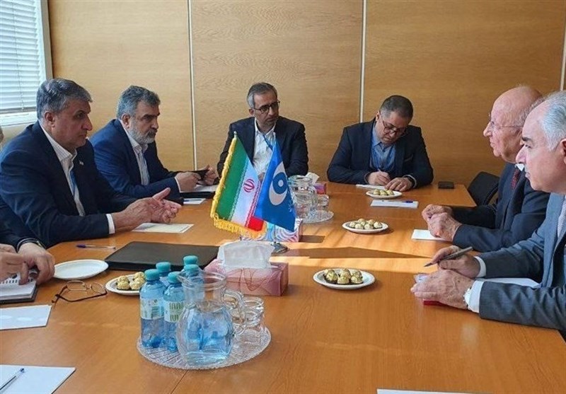 Iranian, Pakistani Atomic Energy Officials Discuss Bilateral Relations in Vienna