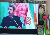 رئیس سازمان حفظ نباتات کشور: اجازه سمپاشی بیرویه را نخواهیم داد