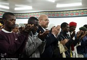 حضور رئیس مجلس در مرکز اسلامی ژوهانسبورگ- عکس خبری تسنیم