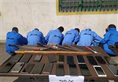 173 مالخر و سارق در شهرستان ری دستگیر شدند