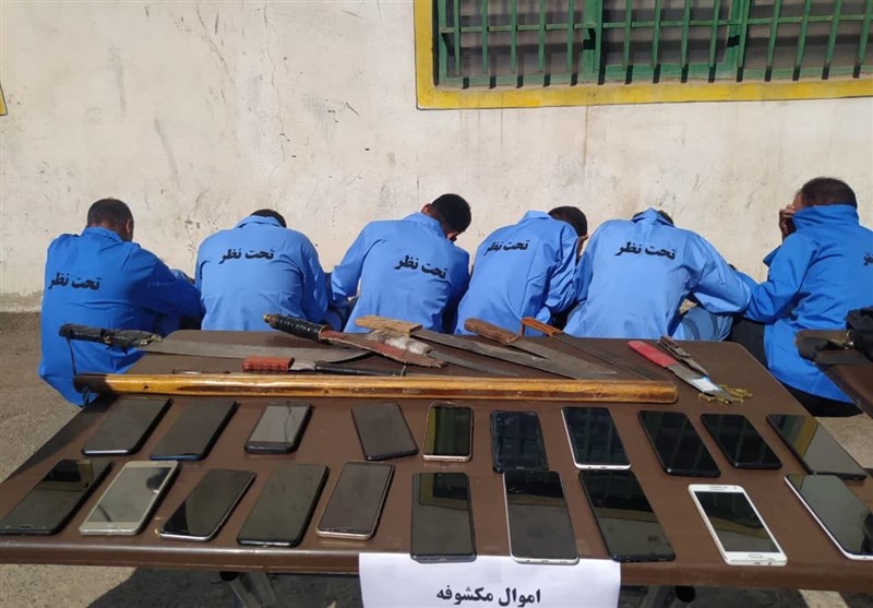 افزایش 108 درصدی کشفیات جرایم سرقت در استان بوشهر