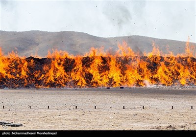 امحای بیش از 1300 تن کالای قاچاق