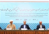 Iran, Egypt on Road to Stronger Ties: Amirabdollahian