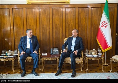 الممثل الخاص لرئيس أذربيجان يلتقي وزير الخارجية الإيراني