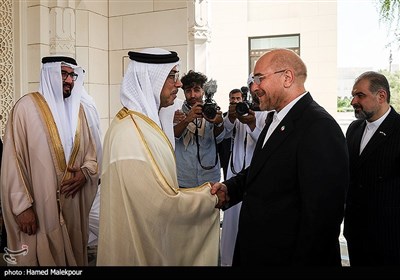 دیدار محمدباقر قالیباف رئیس مجلس شورای اسلامی با شیخ منصور معاون رئیس دولت و معاون نخست وزیر امارات