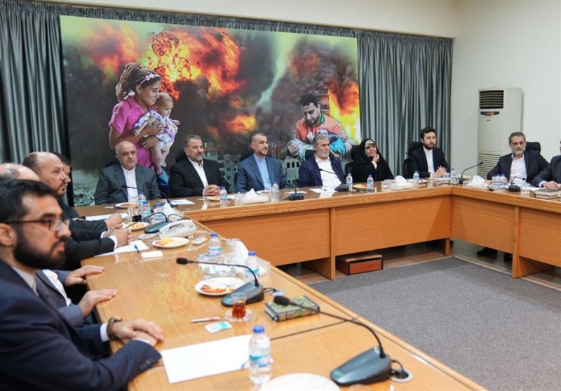 Iran Leveraging Diplomacy to End Israeli War on Gaza: FM