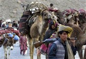 افغانستان: معضل تاریخی «کوچی» از مجرای قانونی و شرعی حل می‌شود
