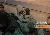جشنواره فیلم کوتاه| پوستر «لمس» رونمایی شد/ تقدیم «شاخه زیتون» در جشنواره فیلم کوتاه تهران به مردم فلسطین