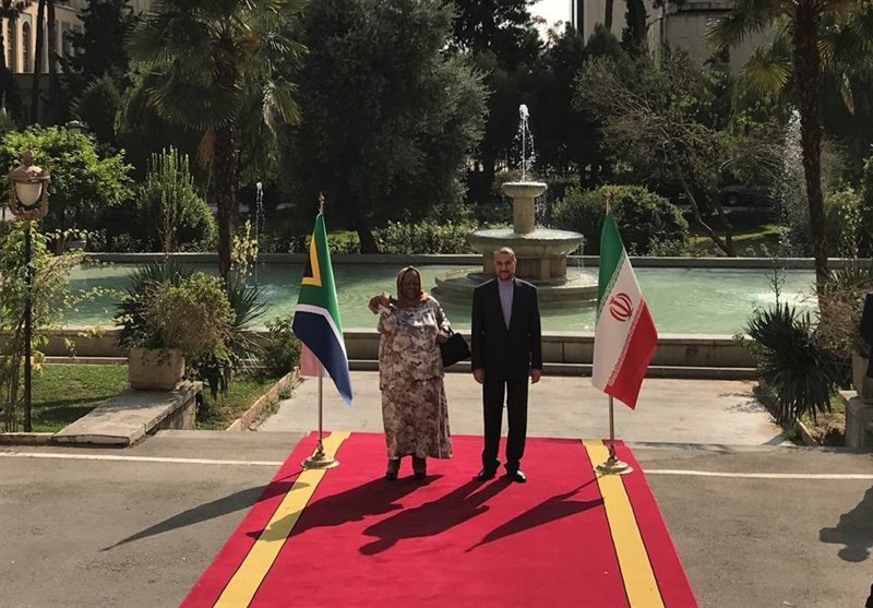 استقبال امیرعبداللهیان از وزیر امور خارجه آفریقای جنوبی