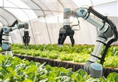 Iran to Launch AI Research Center in Agricultural Sector: Deputy Minister