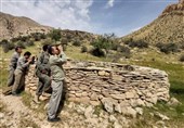 کشف لاشه 4 رأس قوچ و میش از شکارچیان غیرمجاز در استان بوشهر/ دستگیری 6 متخلف