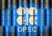 OPEC Output to Grow by 1 Million bpd by 2030: IEA