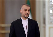 Iran, Qatar Working on Initiatives for Establishment of Ceasefire in Gaza: FM