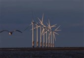 احتمال افزایش 70 درصدی قیمت برق بادی در انگلیس