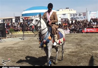  جشنواره زیبایی اسب کُرد در سقز برگزار شد + تصاویر 