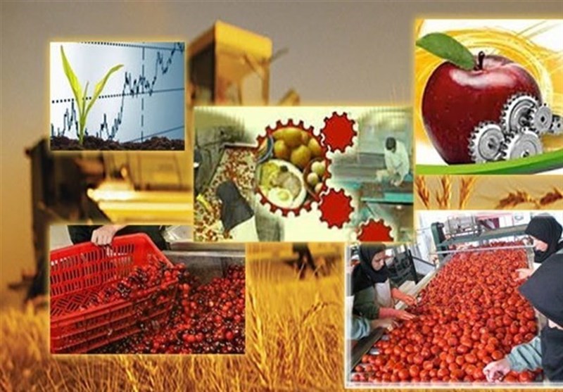 5 هزار طرح صنعتی حوزه کشاورزی نیمه کاره رها شده است