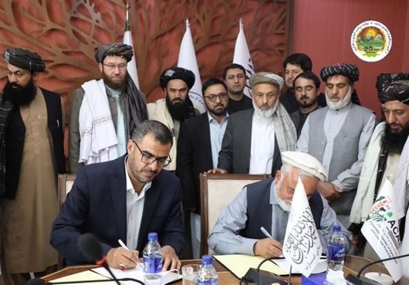 امضای تفاهمنامه اتاق کشاورزی افغانستان مرکز تجاری ایران در کابل