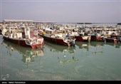 بندر امام خمینی(ره)بزرگترین بندر غلات کشور- عکس استانها تسنیم
