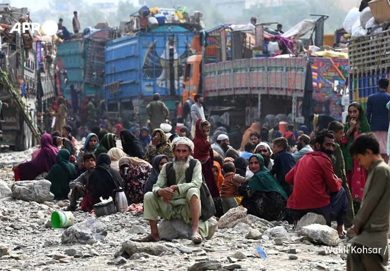 داون نیوز: 80 درصد افغان‌های انتقال یافته به مرز برای اخراج از پاکستان مدارک اقامتی معتبر دارند