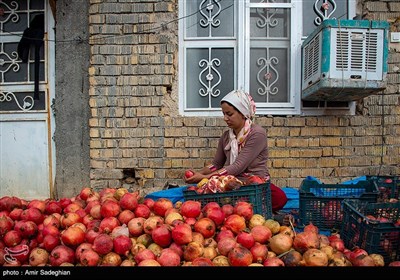 جشنواره انار یاقوتی شهر فاروق فارس