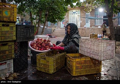 جشنواره انار یاقوتی شهر فاروق فارس