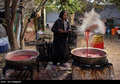 جشنواره انار یاقوتی شهر فاروق فارس