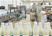 Экспорт молочной продукции в Иране увеличился на 16%