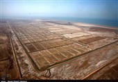 واگذاری 2200 هکتار اراضی ساحلی بوشهر به سرمایه‌گذاران در عرصه پرورش میگو