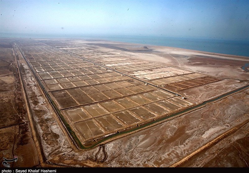 واگذاری 2200 هکتار اراضی ساحلی بوشهر به سرمایه‌گذاران در عرصه پرورش میگو