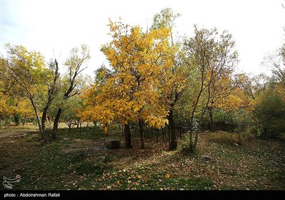 طبیعت پاییزی استان همدان