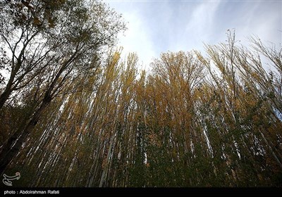 Осенняя природа Ирана - провинция Хамадан