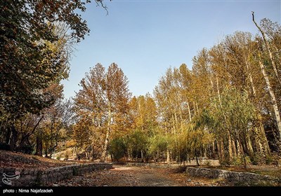 طبیعت پاییزی - مشهد
