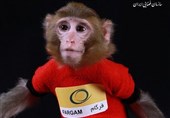 Özel/ İran’ın Astronot Maymunları Fırlatmadan 12 Yıl Sonra Şimdi Neredeler?