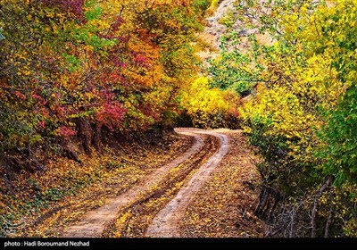 Fall Foliage Creates Stunning Scenery in NW Iran