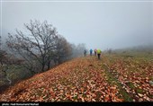 نجات خانواده گمشده در جنگل‌های ارسباران