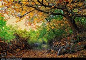 طبیعت پاییزی منطقه ارسباران