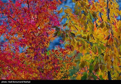 Осенняя природа Ирана - регион Аресбаран