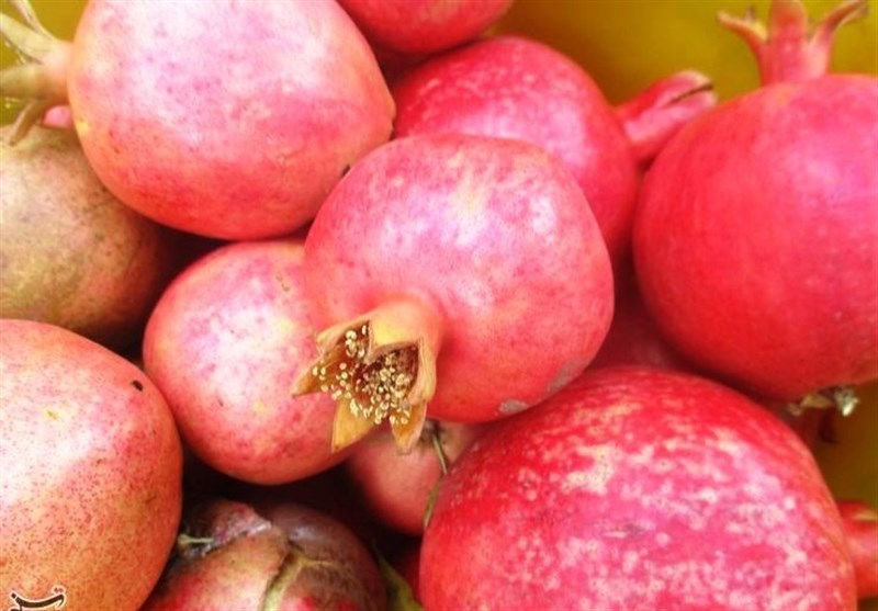 استان لرستان , اخبار کوهدشت , کشاورزی , 