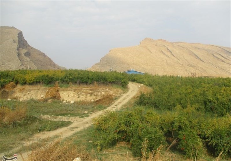 استان لرستان , اخبار کوهدشت , کشاورزی , 