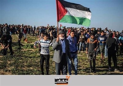  بخش ویژه «غزه» در هفدهمین جشنواره «سینماحقیقت» 