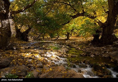 روزهای آخر پاییز در شهرستان سلسله - لرستان